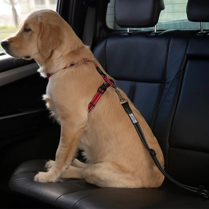 Seatbelt Clip