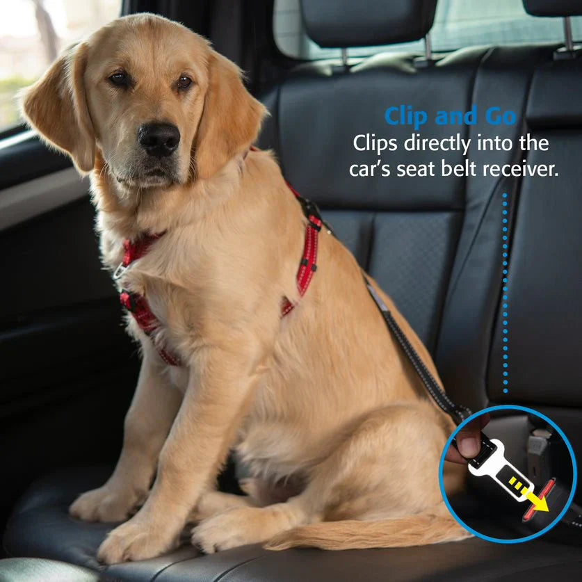 Seatbelt Clip