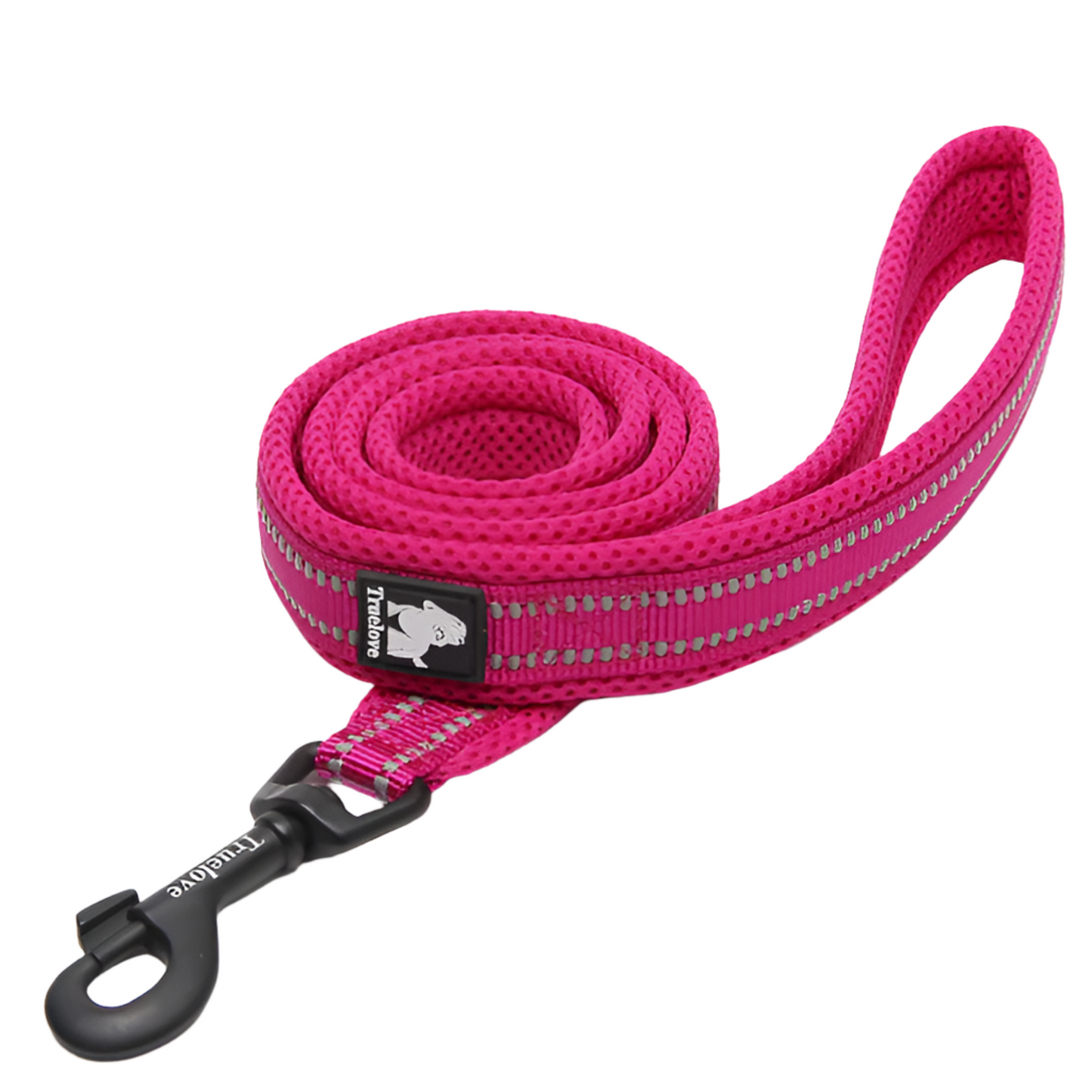 Everyday Leash