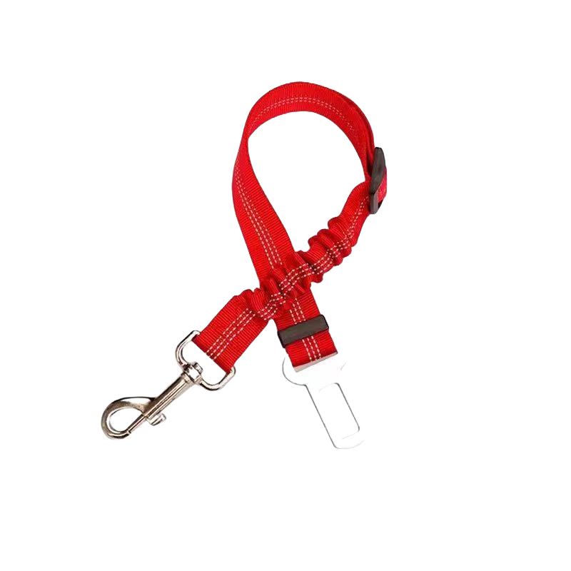 Seatbelt Clip