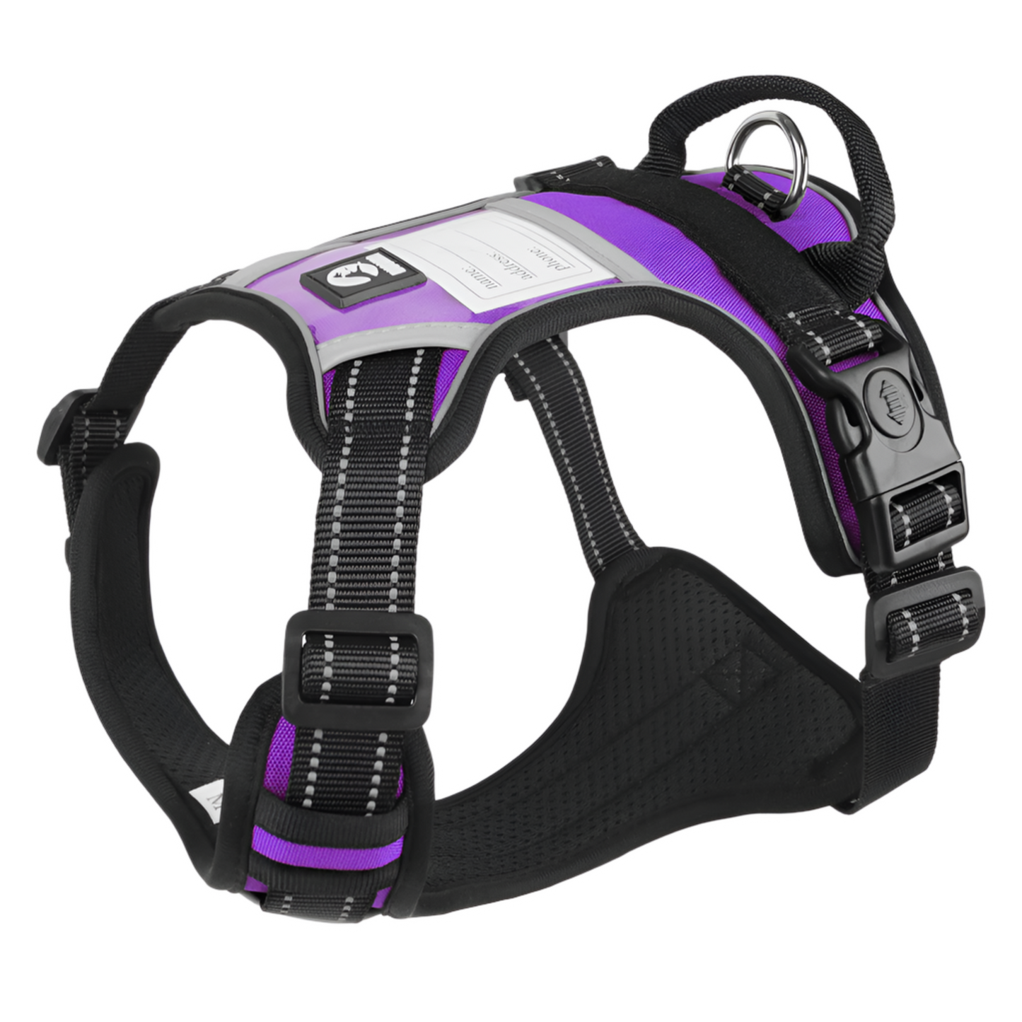 BuckleBuddy Harness