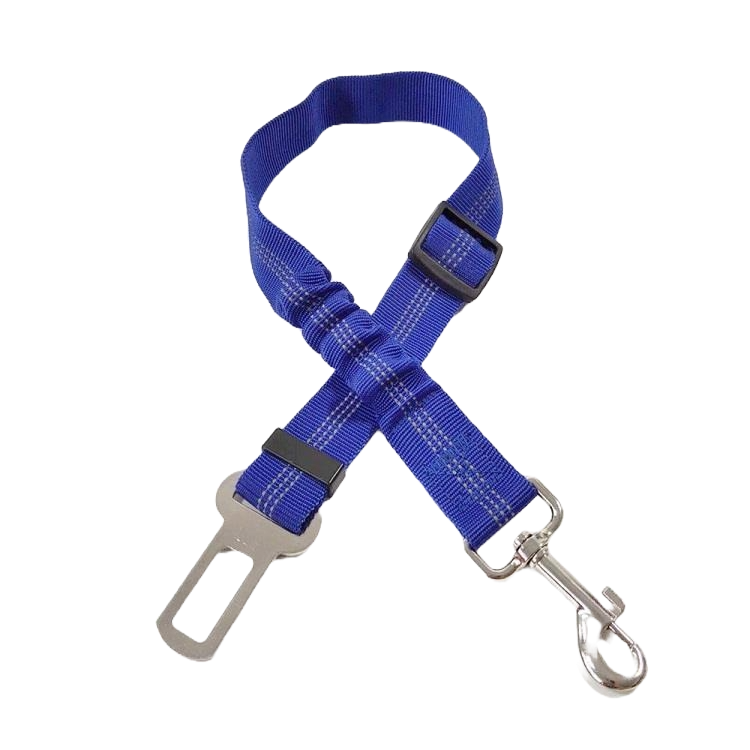 Seatbelt Clip