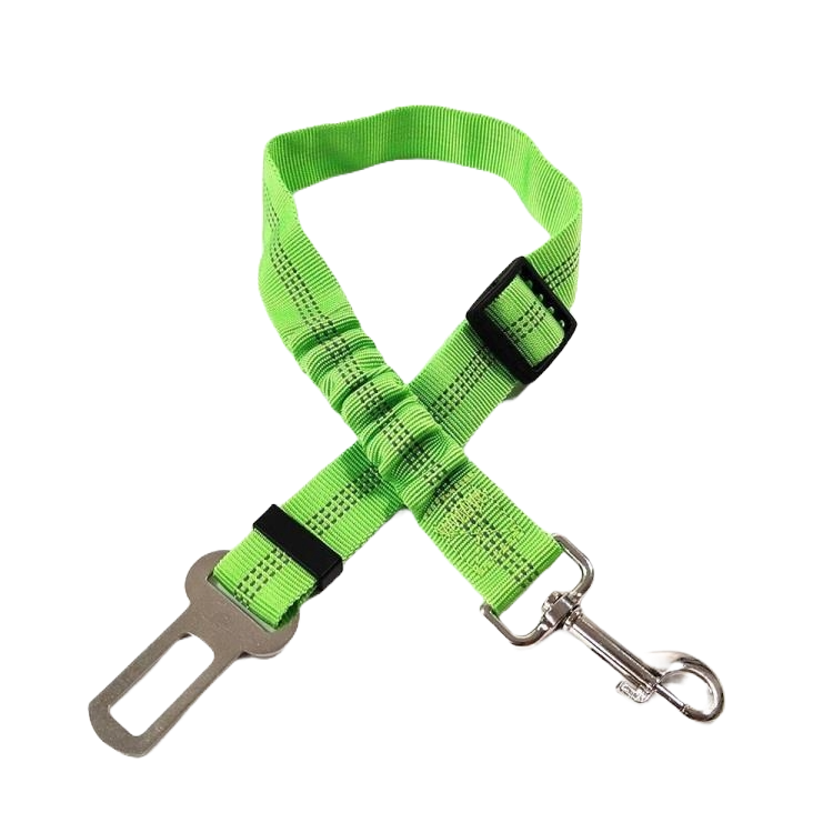 Seatbelt Clip