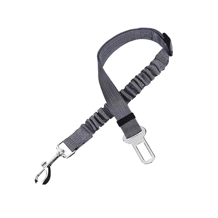 Seatbelt Clip