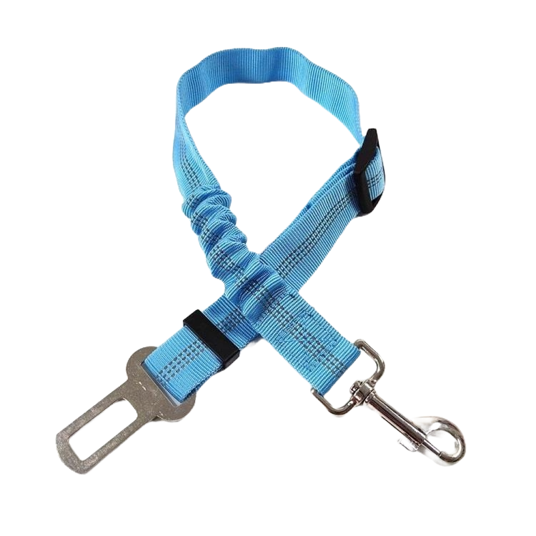 Seatbelt Clip