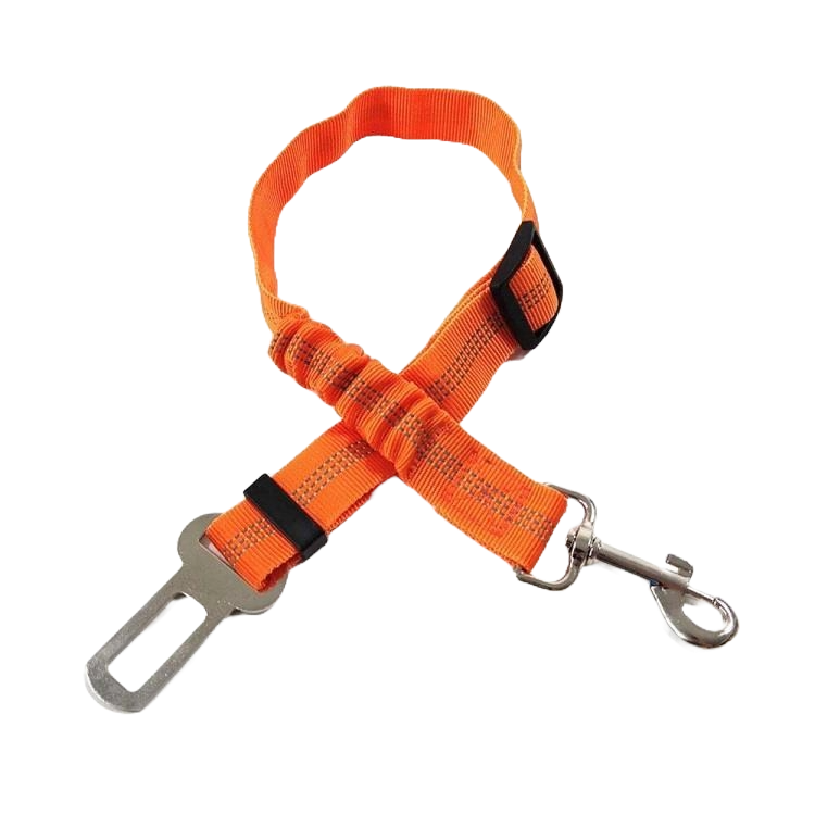 Seatbelt Clip