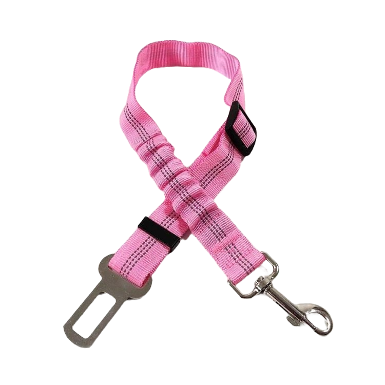 Seatbelt Clip
