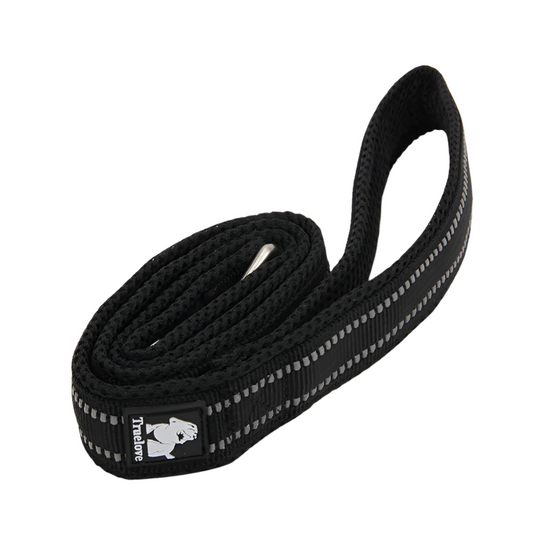 Everyday Leash