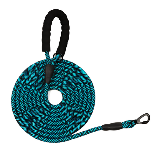 10m Safety Lead