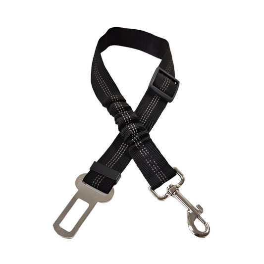 BuckleBuddy Seatbelt Clip