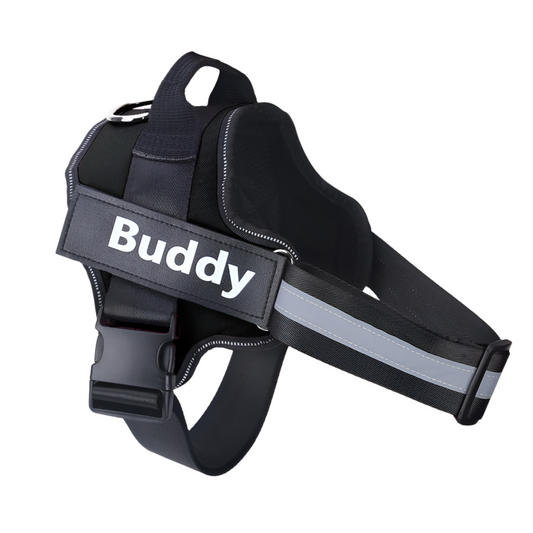 Customisable Dog Harness