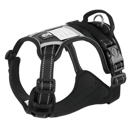 BuckleBuddy Harness