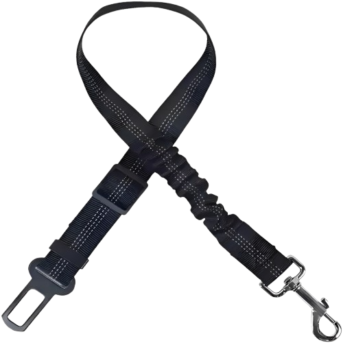 Seatbelt Clip