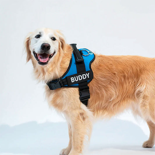 Customisable Dog Harness