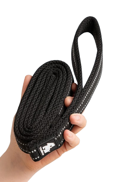 Everyday Leash